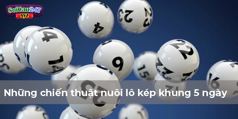 Những chiến thuật nuôi lô kép khung 5 ngày