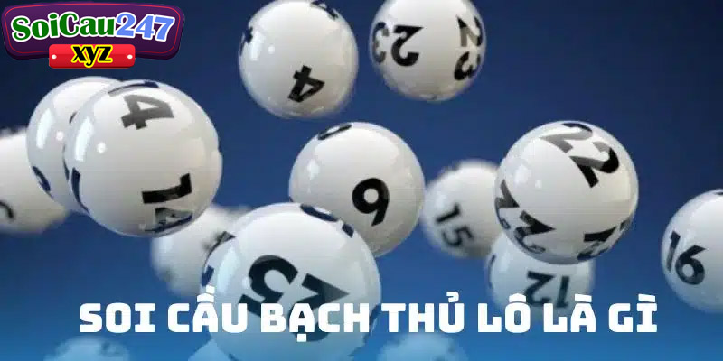 Khái niệm soi cầu bạch thủ lô