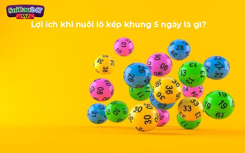 Lợi ích khi lô kép khung nuôi trong 5 ngày