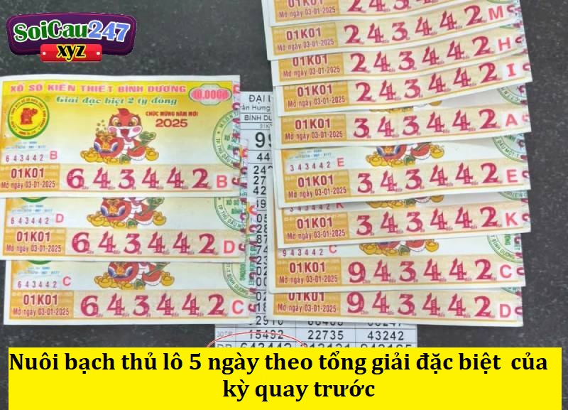 Nuôi bạch thủ lô 5 ngày theo tổng giải đặc biệt  của kỳ quay trước