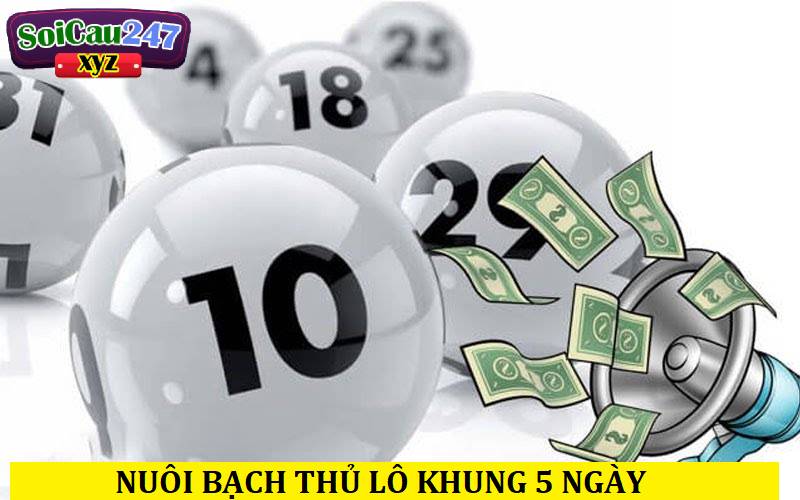 Nuôi bạch thủ lô khung 5 ngày cho kết quả với độ chính xác cao