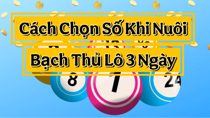 Dựa vào chu kỳ xuất hiện và các dạng “cầu số” phổ biến